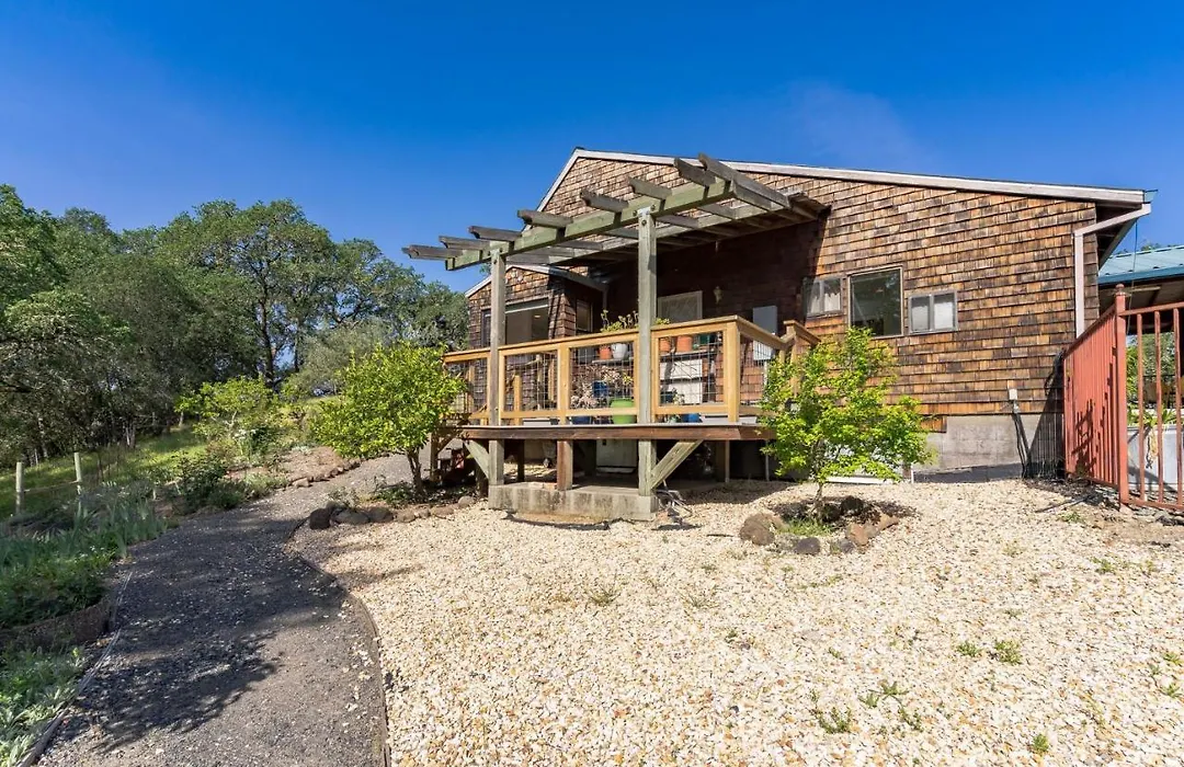 Healdsburg Home With Magnificent Vineyard View Home-1