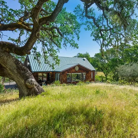 Healdsburg Home With Magnificent Vineyard View Home-3