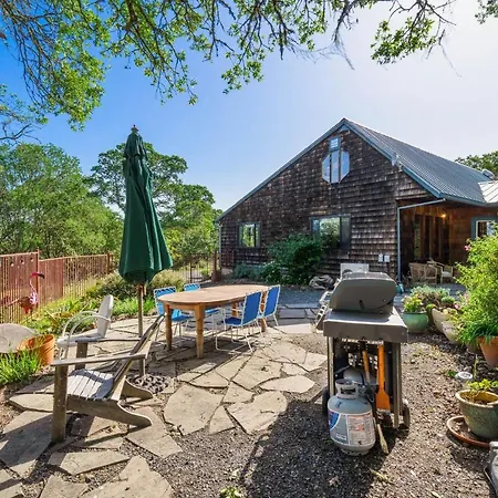 Healdsburg Home With Magnificent Vineyard View Home-2
