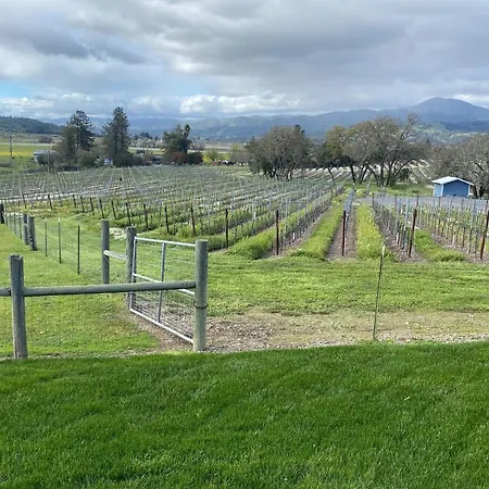 Alexander Valley Retreat-2