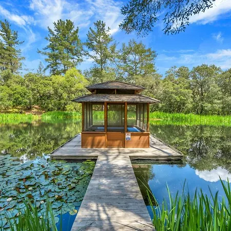 Lily Pad Ranch-2